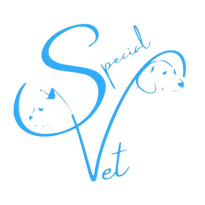 Clinica Special Vet